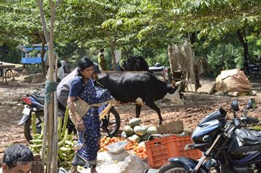 Farmer Market, Bauernmarkt, Mysore_DSC4686_H600